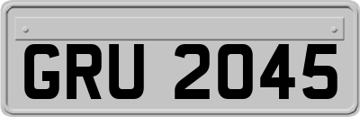 GRU2045