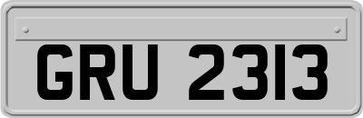 GRU2313