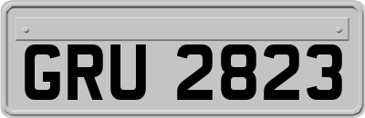 GRU2823