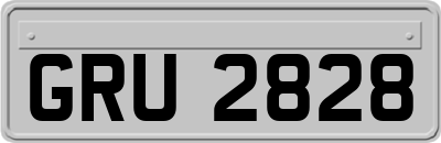GRU2828