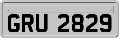 GRU2829