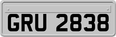 GRU2838