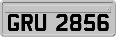 GRU2856
