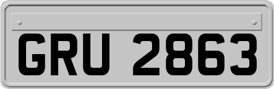 GRU2863
