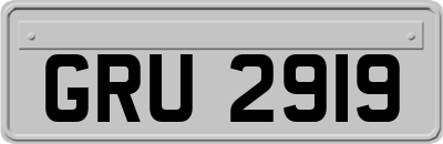 GRU2919