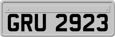 GRU2923