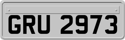 GRU2973