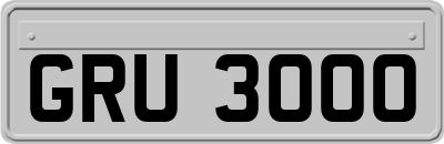 GRU3000