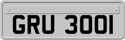 GRU3001