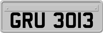 GRU3013