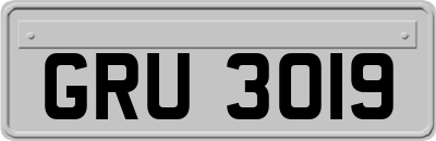 GRU3019