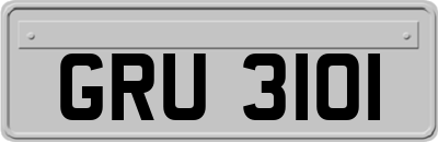 GRU3101