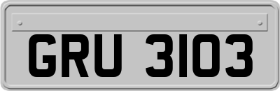 GRU3103