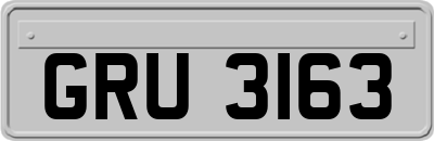 GRU3163