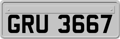 GRU3667