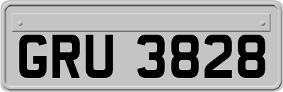 GRU3828