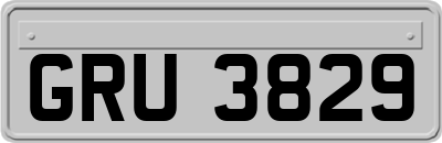 GRU3829