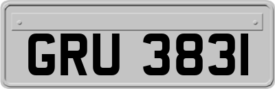 GRU3831