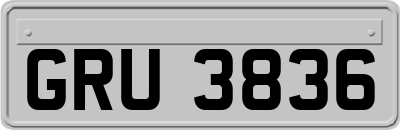 GRU3836