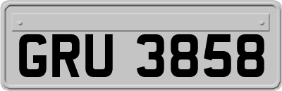 GRU3858
