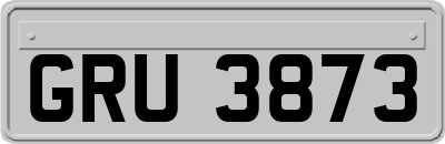 GRU3873