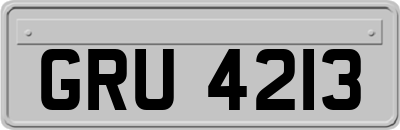 GRU4213