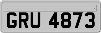 GRU4873