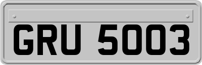 GRU5003