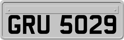 GRU5029