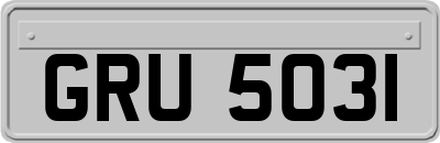 GRU5031