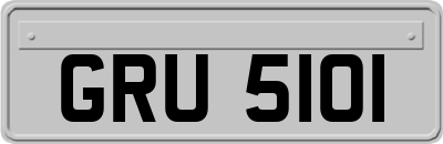 GRU5101