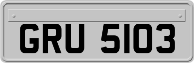GRU5103