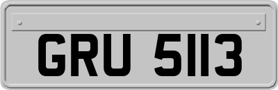 GRU5113