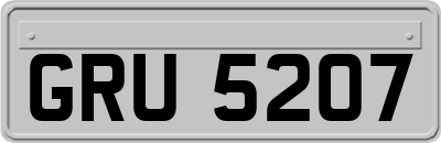 GRU5207