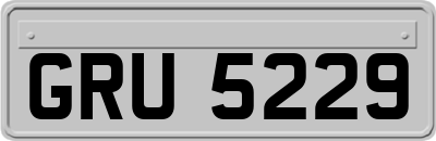 GRU5229