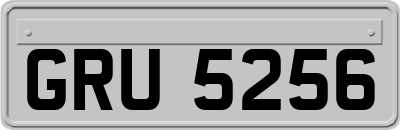 GRU5256
