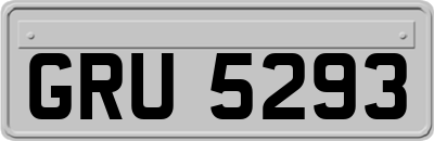 GRU5293