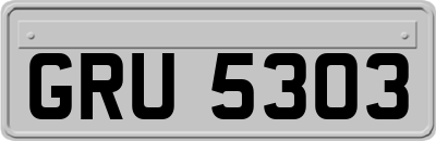 GRU5303