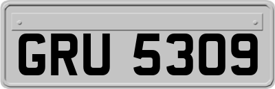 GRU5309