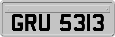 GRU5313