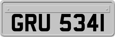 GRU5341