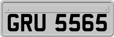 GRU5565