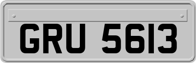 GRU5613