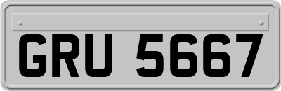 GRU5667