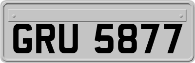 GRU5877