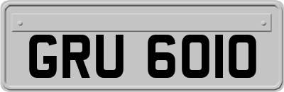 GRU6010