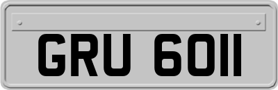 GRU6011