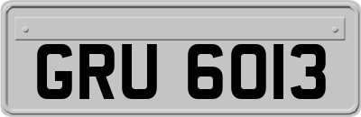 GRU6013