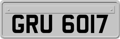 GRU6017