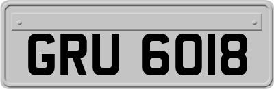 GRU6018
